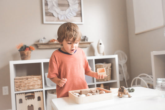 Learning Through Fun: The Bright Future of Educational Toys - BestShop