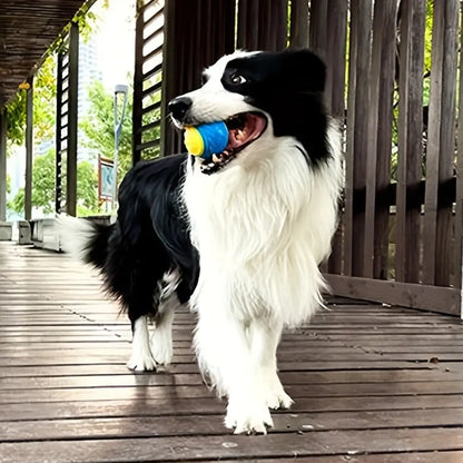 Durable Crew Ball Pet Toy