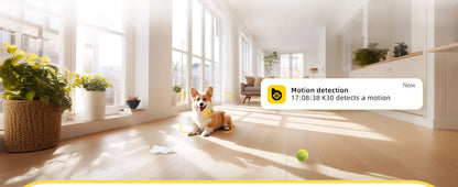 BoyKeep 3MP 5G/2.4GHz WiFi Indoor Camera