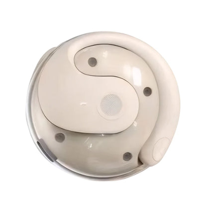 BT AI Real-time Language Translation Earphones