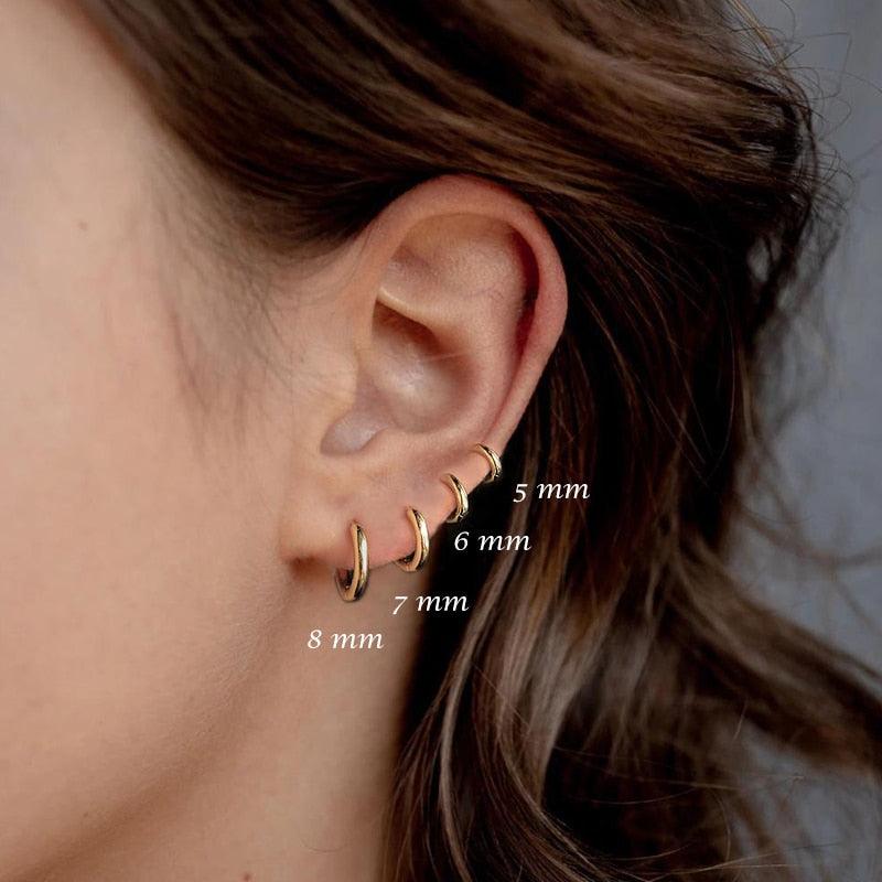 Aide 925 Sterling Silver Rose Gold Small Hoop Earrings For Women - BestShop