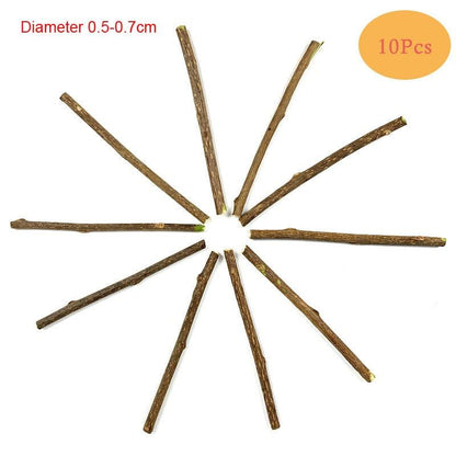 Feather Cat Toys Cats Funny Playing Toys - BestShop