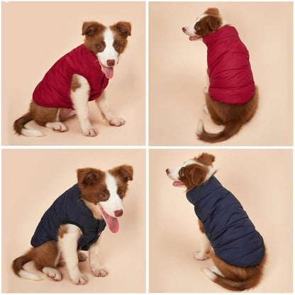 Winter Cotton Padded Pet Coat - BestShop